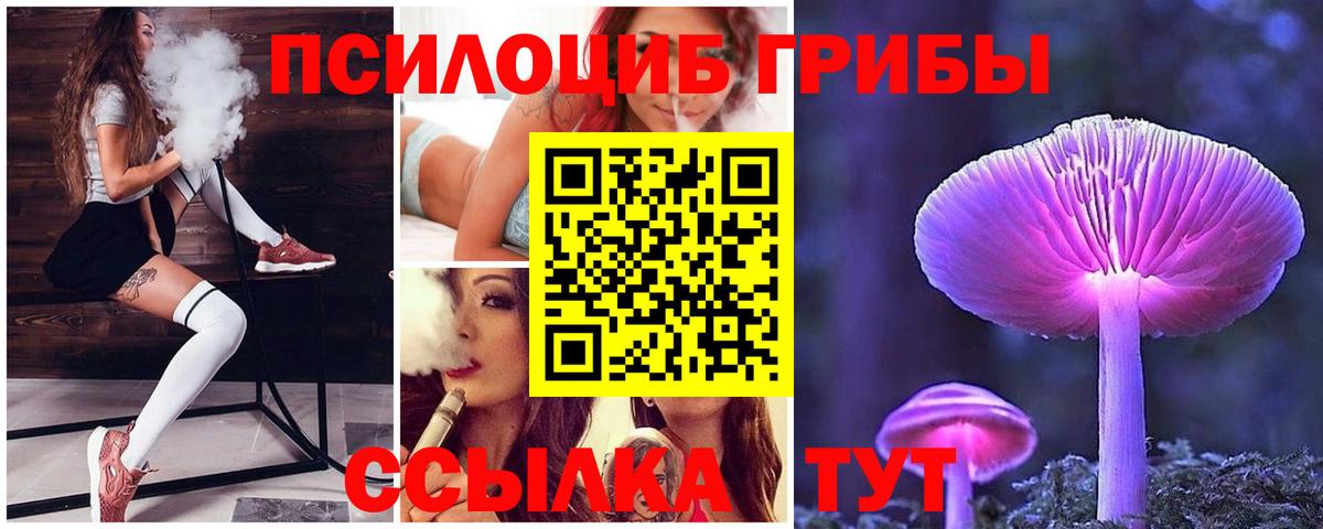 наркотики  Галлюциногенные грибы прущие грибы  Гусиноозёрск  Вход с VPN  Галлюциногенные грибы прущие грибы 
