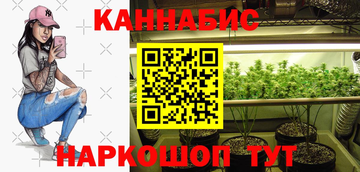Бошки Шишки планчик Гусиноозёрск